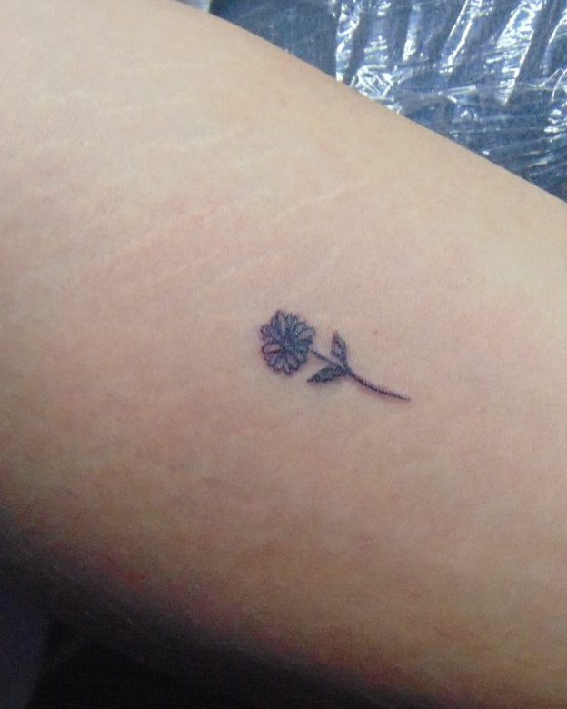 Rosa de línea fina en el antebrazo